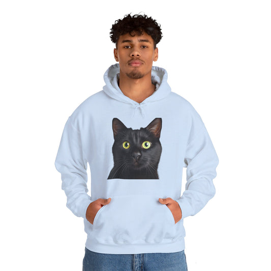 Black Cat Lovers Hoodie: Cozy Up with Feline Mystery!